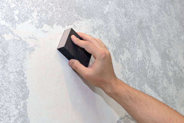 Best Asbestos and Lead Testing During Mold Inspection  in Shields, MI