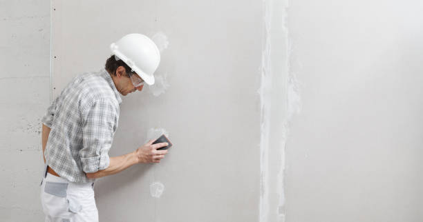 Professional Mold Removal in Shields, MI
