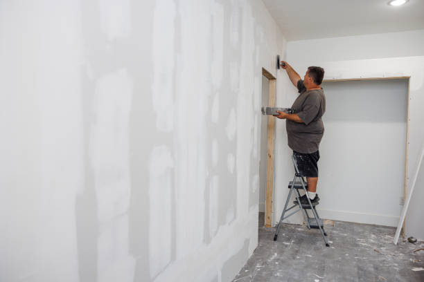 Best Comprehensive Air Testing for Mold Contaminants  in Shields, MI